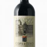 Intervista a Giuseppe Pizzolante Leuzzi, nuovo enologo della Cupertinum