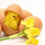 Benzina: Coldiretti, contro rincari menù di Pasqua a km zero