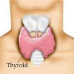 L'ipertiroidismo favorisce l'ictus