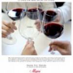 Vinitaly: "Thank you driver"