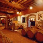 Vino: gli italiani riscoprono le cantine