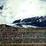 Le eccellenze iblee a Cibus 2010