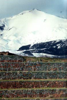 Le eccellenze iblee a Cibus 2010