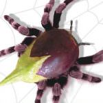 "Organismi Genuinamente Mobilitati" in piazza a Pordenone contro lo sfruttamento del territorio