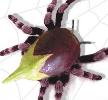 Coldiretti: per Marini corretta la posizione del Ministro Fazio, uccidono il Made in Italy