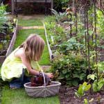 Bologna, frutta e verdura dagli orti del Caab