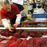 Giappone, gli ambientalisti accusano: carne di balena venduta illegalmente