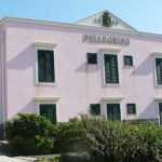 Pellegrino: Una novita' dalla Nuova Zelanda