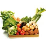 Violino: "Il Friuli Venezia Giulia deve riscoprire il biologico"