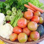 Grande partecipazione dei consumatori a "Le Piazze del Bio"