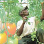 Preoccupazione per Latina: potrebbe essere la prossima Rosarno