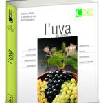 Valori e Valore dell'uva italiana