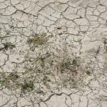 Maltempo: Coldiretti, scongiura rischio siccità estiva