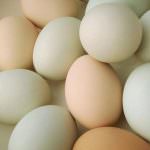 Sorpresa nelle uova, un pieno di antiossidanti benefici