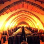 Palermo, 17esima edizione del Concours Mondial de Bruxelles: 7000 vini in degustazione ma anche storia e cultura