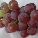 L'uva difende da diabete e malattie cardiache