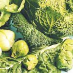 L'acido folico ripara le lesioni di cervello e midollo spinale