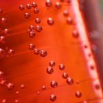 Si dell'UE: presto bibite dolcificate con la stevia