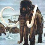 DNA: creata proteina dal sangue dei mammut