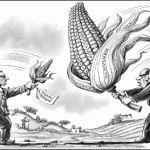 Confagricoltura sulle semine biotech in Friuli: fiducia nel ministro Galan, no alle manifestazioni estemporanee