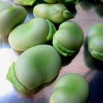 1 maggio: Coldiretti, fave a prezzi stabili (1/2 e/kg) per gita fuori porta