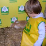 Scuola: ecco l'agriasilo il sogno di 3 genitori su 4