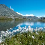 Maltempo: Coldiretti, Po sale altri 2 metri/giorno, laghi al massimo