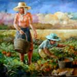 Confagricoltura: allarme maltempo, preoccupano esondazioni e frane, a rischio raccolti e semine