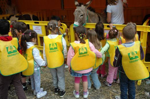 Scuola: Coldiretti, asilo nido disponibile solo per 1 bimbo su 10