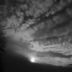 In Lombardia il maltempo mette in ginocchio l'agricoltura