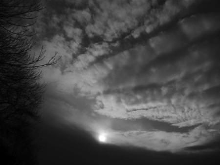 In Lombardia il maltempo mette in ginocchio l’agricoltura