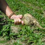 Zucchero: Non è tempo di abbassare la guardia!