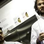 IDENTITÀ di PASTA n° 15 del 28.11.2011, la newsletter di Paolo Marchi