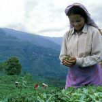 Altromercato presenta la manifestazione "Scambiamo il mondo" e la community "Il Circolo del Cibo" in occasione della Giornata Mondiale del Commercio Equosolidale