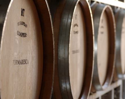 Tormaresca: the essence of Puglia’s wines