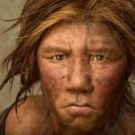 C'è un po' di Neanderthal in tutti noi