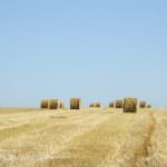 Foggia: Un supporto alle imprese agricole, in particolare a quelle più piccole