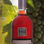 Da Irsina a Sassuolo e ritorno in Lucania, grazie al vino, grazie a Internet