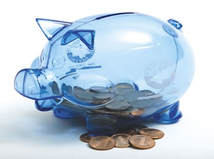 Calderoli e i risparmi. Il fumo e l’arrosto