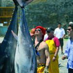 Girotondo 2010 il tonno di qualità protagonista della kermesse enogastronomica internazionale