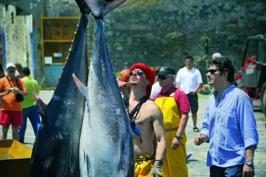 Girotondo 2010 il tonno di qualità protagonista della kermesse enogastronomica internazionale