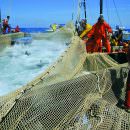 “Urgente la riforma della pesca”. Il WWF si rivolge all’Unione Europea