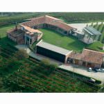 Cavalieri del Lavoro alla Tavola Rotonda 2013 della Cantina Ceretto d'Alba