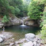 Dichiarazione Unesco "Per una cultura della biodiversità"