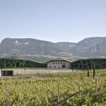 Il 12 Giugno si inaugura il nuovo gioiello enologico altoatesino: la Cantina Tramin