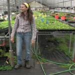 Più imprese gestite da giovani in agricoltura