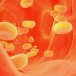 Colesterolo buono? Non tanto