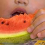 Food 4U: Scelti i 33 video finalisti