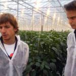 Nell'agricoltura i giovani sono frenati, troppi gli ostacoli al ricambio generazionale