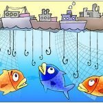 Pesca: impresa pesca (Coldiretti) da oggi stop a telline e cannolicchi